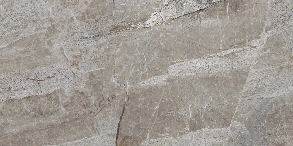 Керамогранит Primavera Essence Grey Polished 60x120 см (PR209)