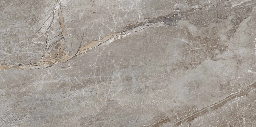 Керамогранит Primavera Essence Grey Polished 60x120 см (PR209)