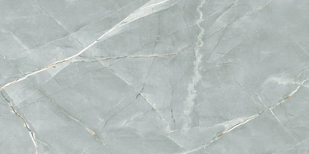 Керамогранит Royce William Grey Polished 60x120 см (R_PR2019)